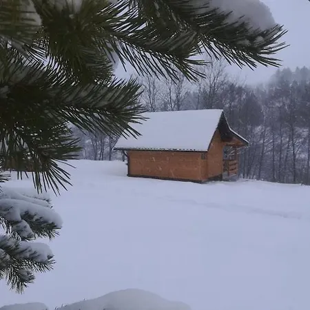Brvnara Brkovic Lägenhet Zlatibor Exteriör bild