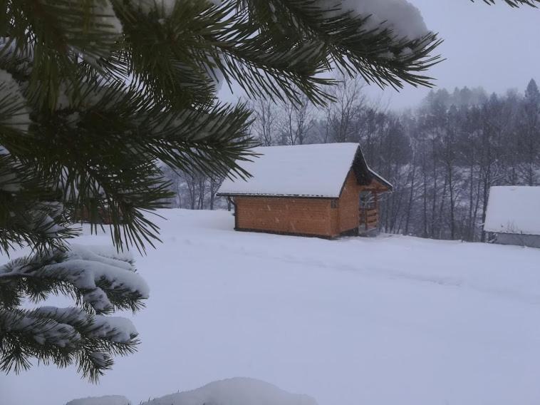 Brvnara Brkovic Zlatibor